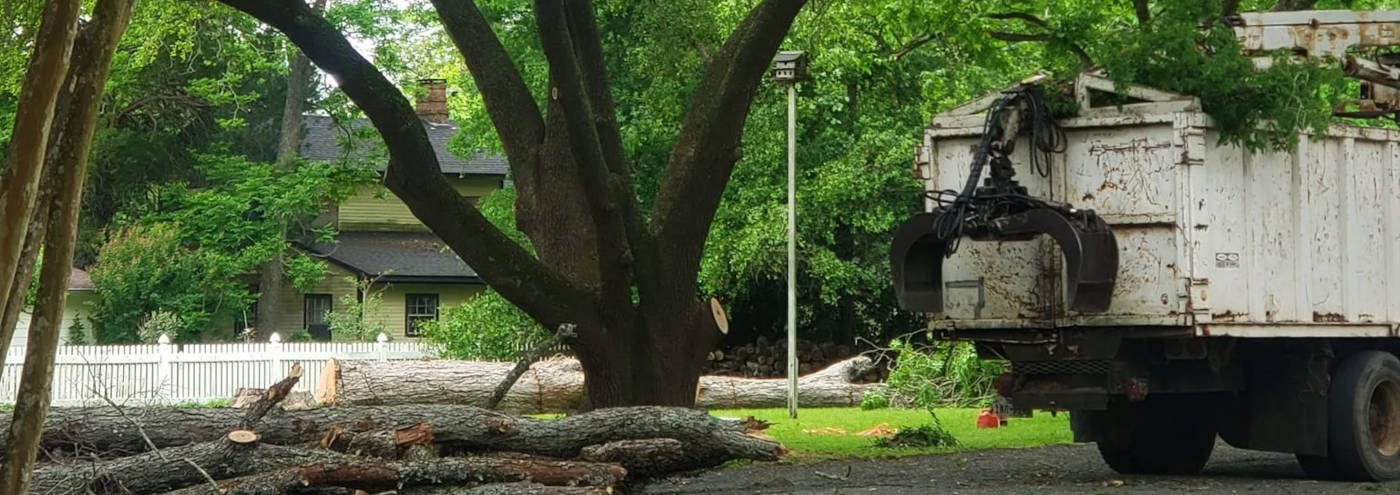 Featured Image for J AND J CUSTOM TREE SERVICE LLC
